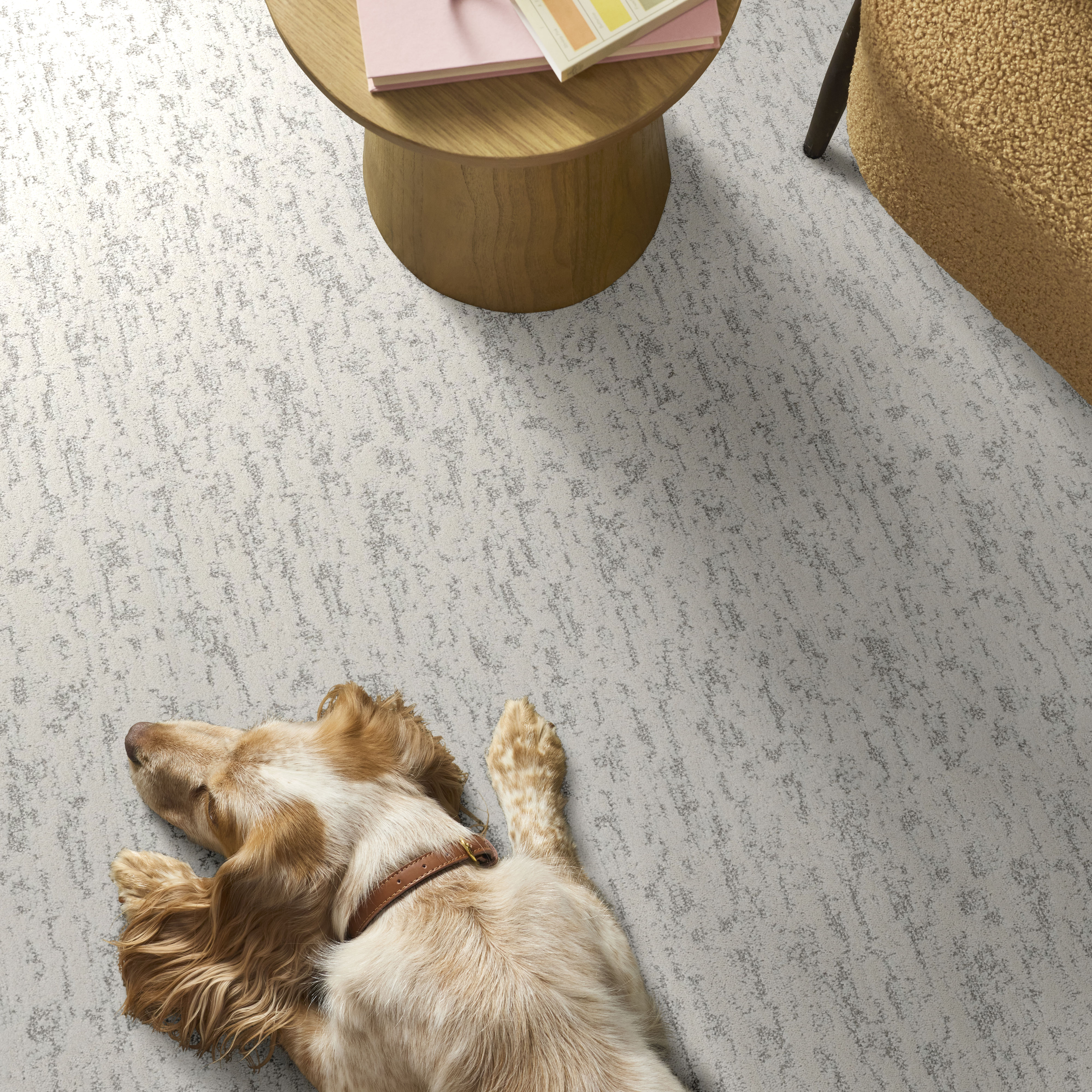 Calm Expression - Aspen White Carpet | Shaw Floors